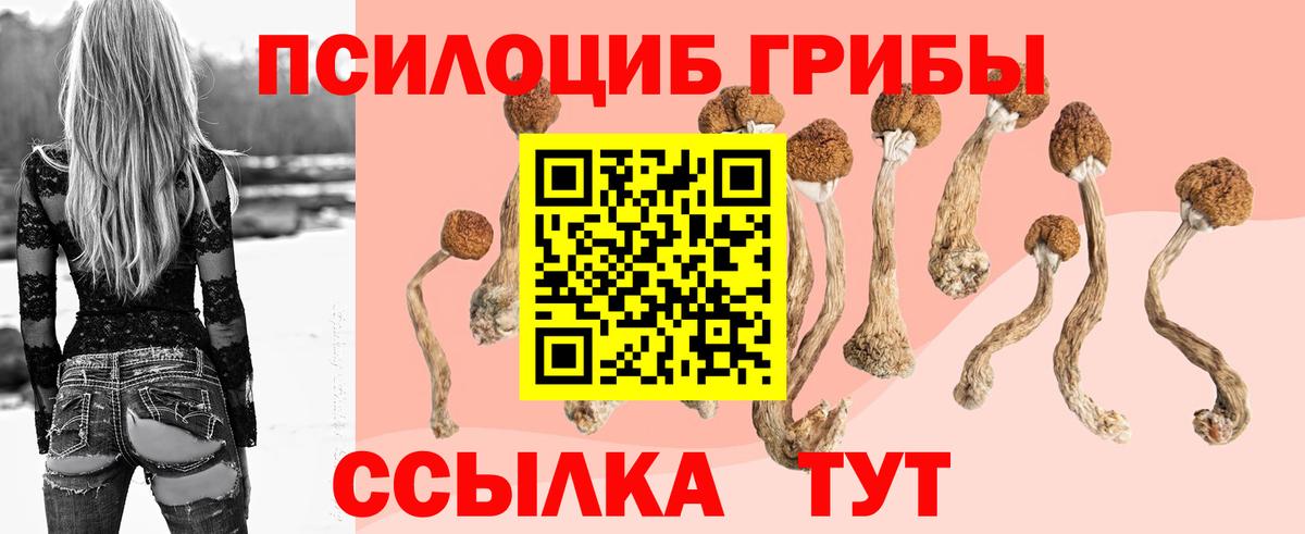 Галлюциногенные грибы ЛСД Владивосток