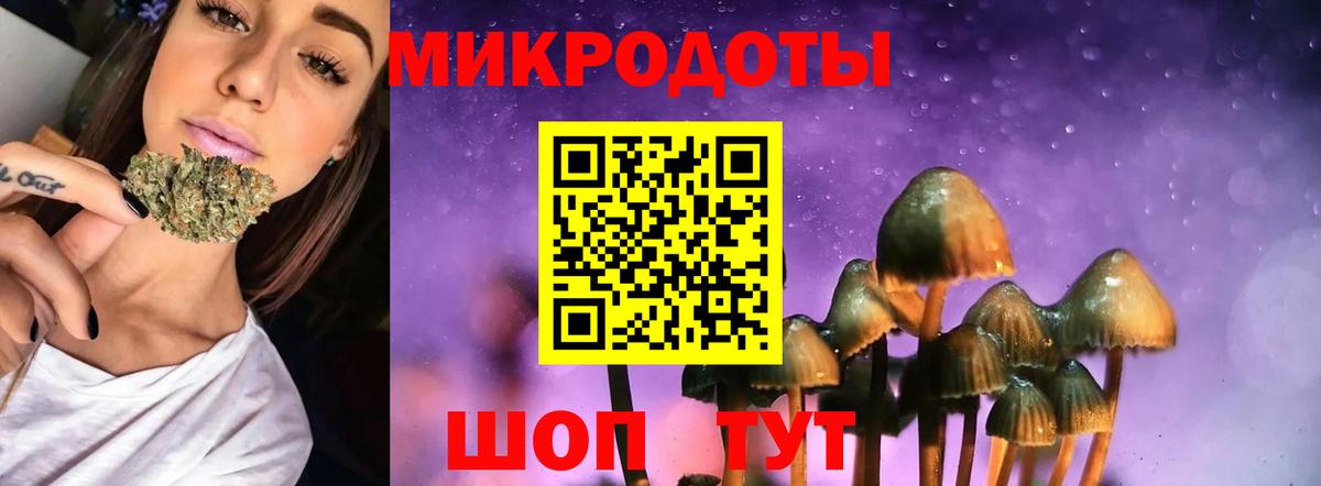 Псилоцибиновые грибы Psilocybe  хочу наркоту  Владивосток  Вход с VPN 